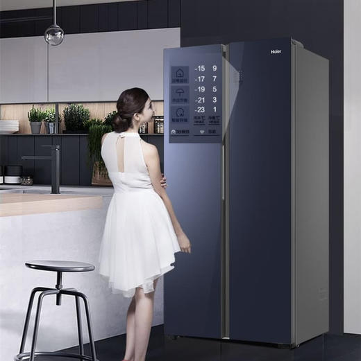 海尔（Haier）冰箱BCD-480WGHSS9DG1U1 商品图4