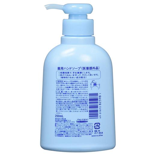 【2件装】除菌消毒洗手液 250ml 商品图3