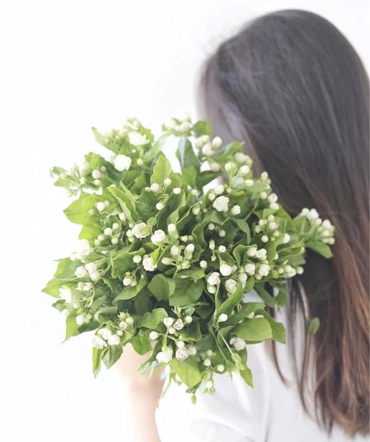 茉莉花（一份） 商品图1