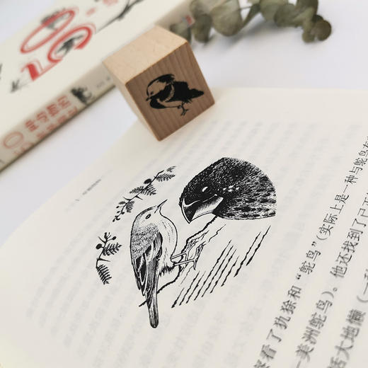 50种动物的世界简史 商品图10