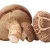 “阿德童年”香菇 250g/份 商品缩略图0