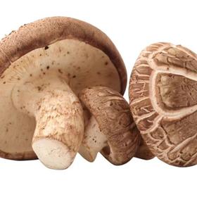 “阿德童年”香菇 250g/份