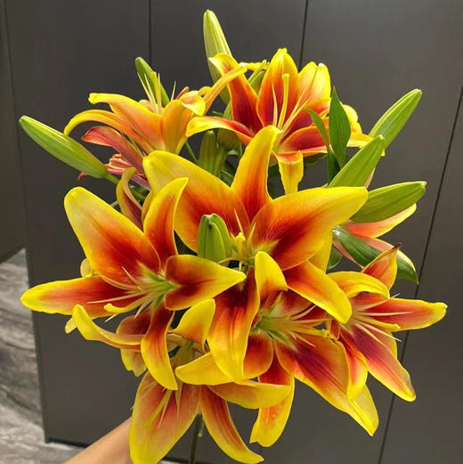 百合.皇冠 商品图0