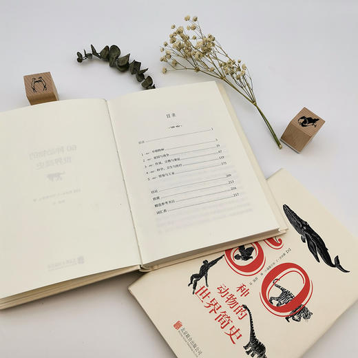 50种动物的世界简史 商品图7