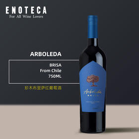 珍木布里萨红葡萄酒 ARBOLEDA BRISA 750ml