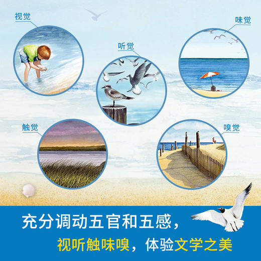 妈妈带我去看海 商品图2