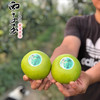 【西子玉】江南蜜（西子玉）蜜梨，25年的品质坚持，绿色食品认证，甜美爽口，送人自吃完全靠谱！ 商品缩略图10