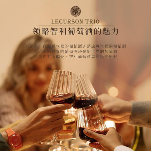 【三种葡萄混酿】露颂灵魂三重奏干红葡萄酒 智利中央山谷产区 15%vol 商品图8