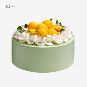 鲜芒开心果奶油蛋糕 | 36 CAKE