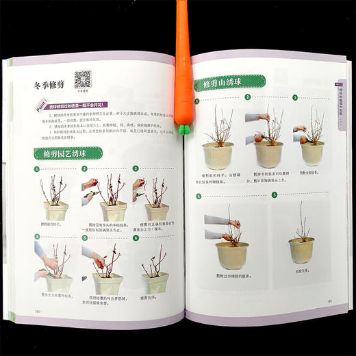 绣球初学者手册(第2版) 26095 绣球 正版现货 绣球养护 绣球盆栽设计 绣球图书 零基础养绣球 绣球图解 商品图4