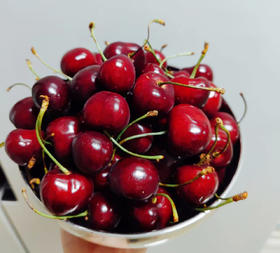 高山科迪亚 大樱桃 车厘子 3斤装