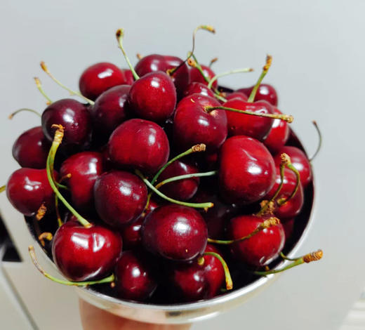 高山科迪亚 大樱桃 车厘子 3斤装 商品图0