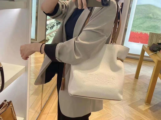 限时折扣￥1650！Coach 新款andy 福袋托特包 大号尺寸30*28.5*14 商品图2