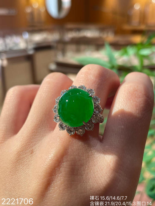 【2221706】具体价格微信咨询 商品图0