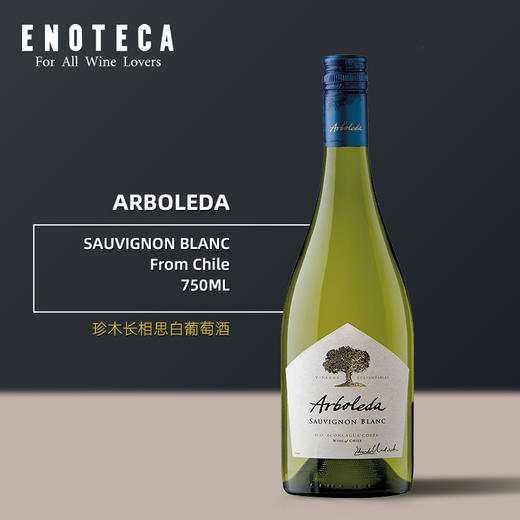 珍木长相思白葡萄酒arboledasauvignonblanc750ml