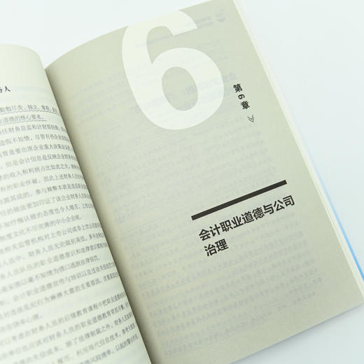 财务职业道德：防范职业风险、规范业务行为的方法与案例分析 商品图10