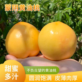  黄油桃上市啦！甜、香、脆、鲜的桃界新宠，真正的软脆两吃纯甜油桃! 