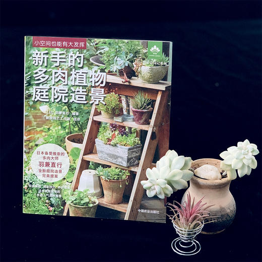 新手的多肉植物家庭造景 26657 多肉图书 零基础养多肉 多肉图解 多肉设计 多肉花艺 多肉畅销书 商品图1