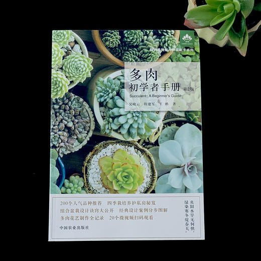 多肉初学者手册第2版 零基础养多肉 多肉图解 多肉设计 多肉花艺 多肉畅销书 花园打造 养花视频 多肉 商品图1