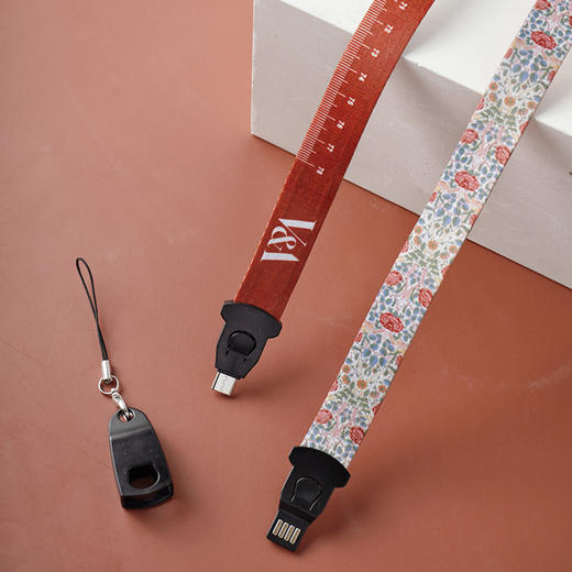 V&A博物馆莫里斯莓小偷玫瑰系列苹果typec创意多功能挂绳数据线 商品图1