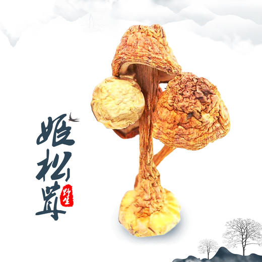 塞尚香 姬松茸120g 食用菌干货炖汤 商品图4