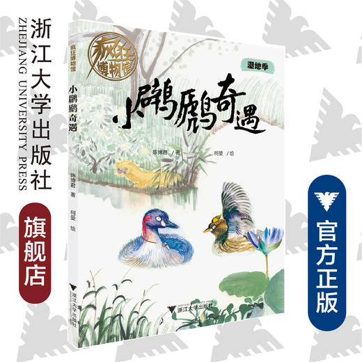 小奇遇/疯狂博物馆/陈博君/绘画:柯曼/浙江大学出版社 商品图0