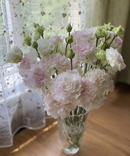 【洋桔梗】--冰淇淋 若干枝/扎 商品图6