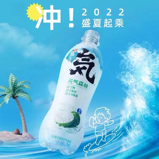美丽市场-元气森林海盐椰子味苏打气泡水480ml 商品图0