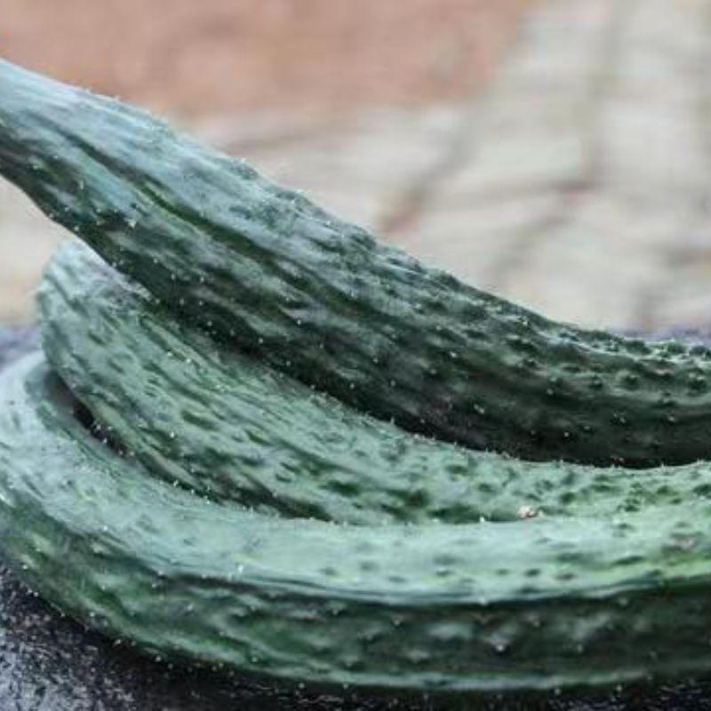 “阿德童年”刺黄瓜 400g/份