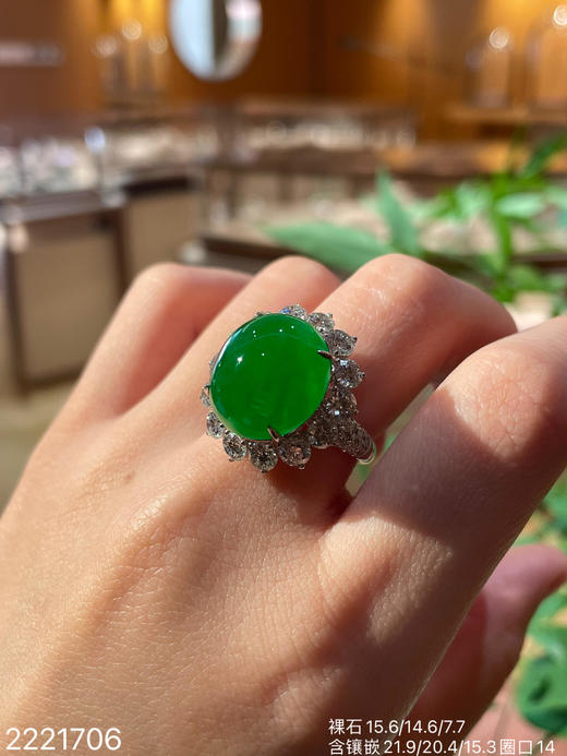 【2221706】具体价格微信咨询 商品图2