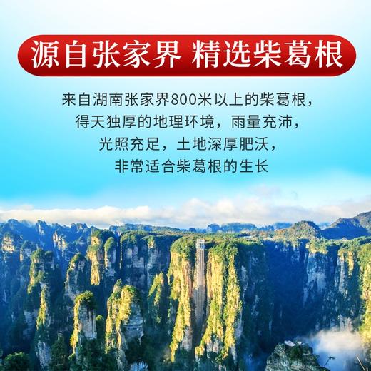 庄民 葛根 颗颗精选葛根粒 酒后茶 正品柴葛根片老柴葛100g/罐 商品图4