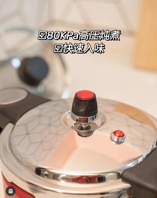 罗德尔高压锅DEP-823 |德铂Debo 商品图2