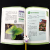 绣球初学者手册(第2版) 26095 绣球 正版现货 绣球养护 绣球盆栽设计 绣球图书 零基础养绣球 绣球图解 商品缩略图2