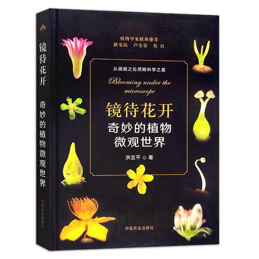 镜待花开 奇妙的植物微观世界【官方正版，可开发票】 商品图1