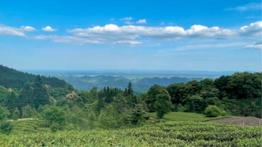 【邛崃天台山·320号】8房/11房小院民宿，可单房预定，观云海日出，避暑耍水、泳池、KTV、儿童游玩滑滑梯、看萤火虫，逛平乐古镇、竹海GSH 商品图2
