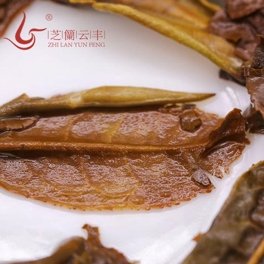 2022 芝兰手握   勐海茶白茶100g 商品图4