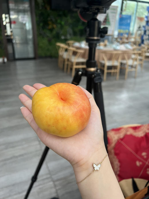 黄金油蟠桃 商品图1