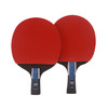 雷神Loki 麒麟7星成品拍 专业乒乓球拍单拍 体育考试初学者 学生用拍 K7 商品缩略图1