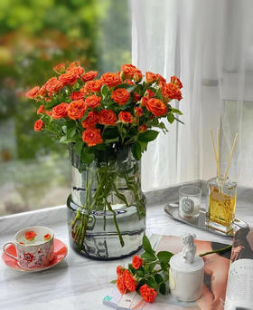 橙色芭比（两枝）