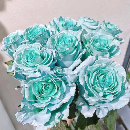 厄瓜多尔染色Tifanny Aqua Blue蒂芙尼蓝玫瑰花10支 商品图1