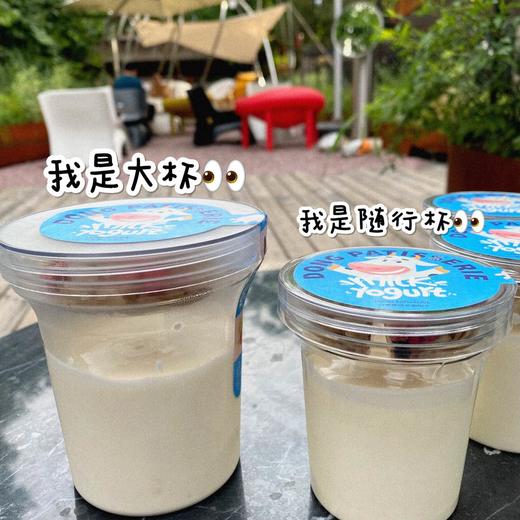 希腊酸奶麦片杯 商品图2