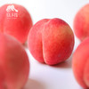 生态脆蜜桃 | 合作生产 *Eco-Peach | Coproduction 商品缩略图3