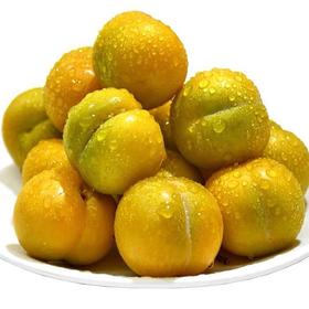 六马蜂糖李一份约500g