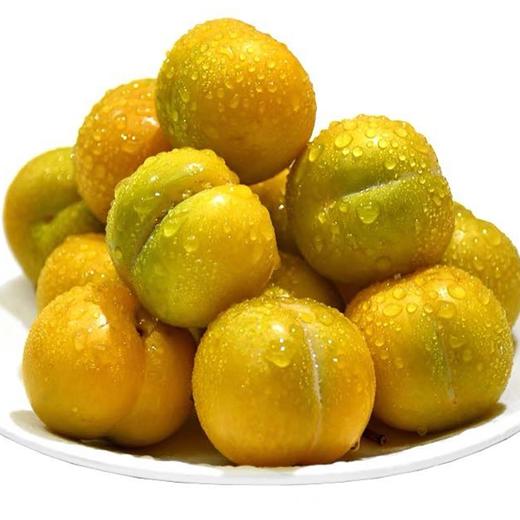 六马蜂糖李一份约500g 商品图0