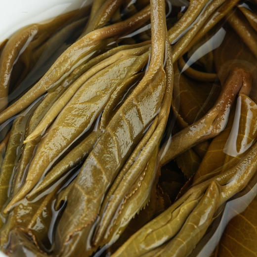 【5月5日11点-12点】【尾货降价拍】【5饼装】【2022年春茶】刮风寨800年古树纯料云南易武普洱茶生茶茶饼古树纯料357g 商品图1