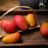 生态曼来芒果 | 合作生产 *Eco- mango | Coproduction 商品缩略图5