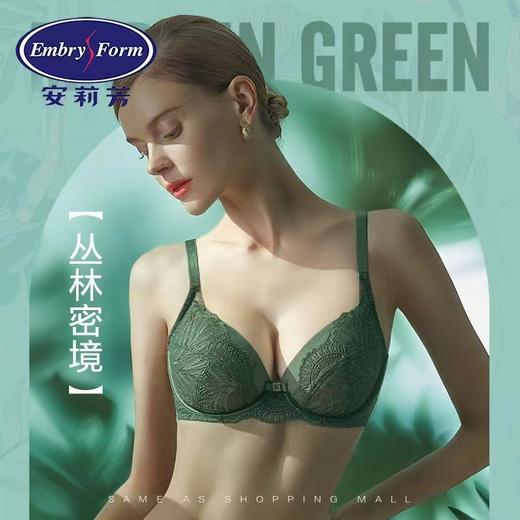 安莉芳超薄内衣EB00501透气单层蕾丝大胸显小聚拢防下垂文胸 商品图0