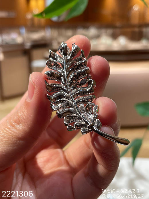 2221306，叶子胸针吊坠两用款，49999 商品图8