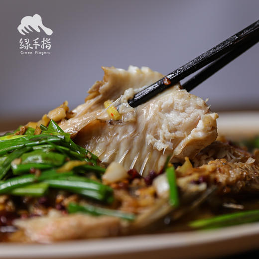 生态罗非鱼| 合作生产 * Eco-  Tilapia | Coproduction 商品图6