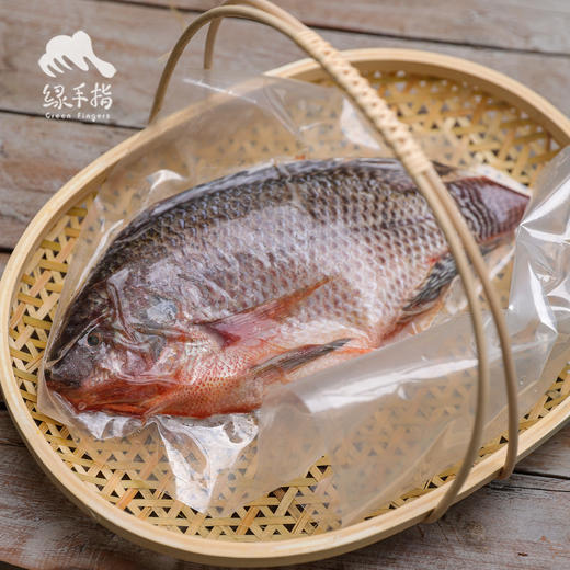 生态罗非鱼| 合作生产 * Eco-  Tilapia | Coproduction 商品图5